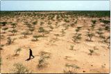 Forstwächter auf Patrouille Aufforstungsgebiet des Great Green Wall Lizenz: CC BY