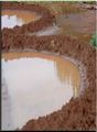 Vertiefungen mit Erdwall zum Auffangen von Wasser Lizenz: CC BY